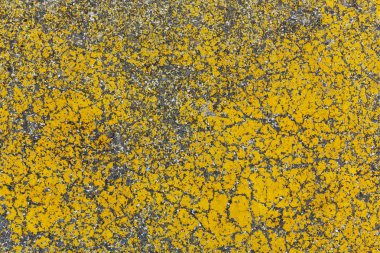 paslı boyalı duvar dokusu