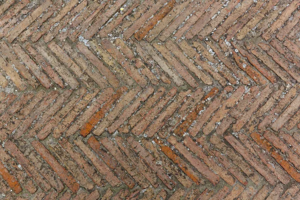 Textura de pavimento de tijolo velho — Fotografia de Stock