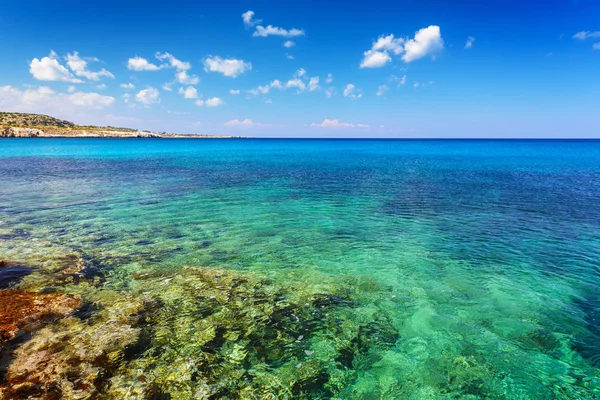 Landschap met groene zee en blauwe lucht — Stockfoto