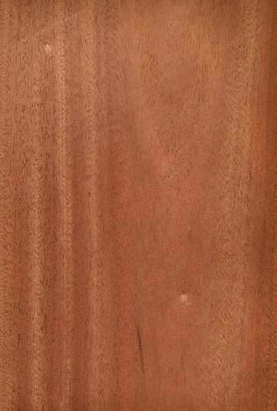 Fundo de textura de madeira natural. Madeira de sapele. Entandofragma c — Fotografia de Stock