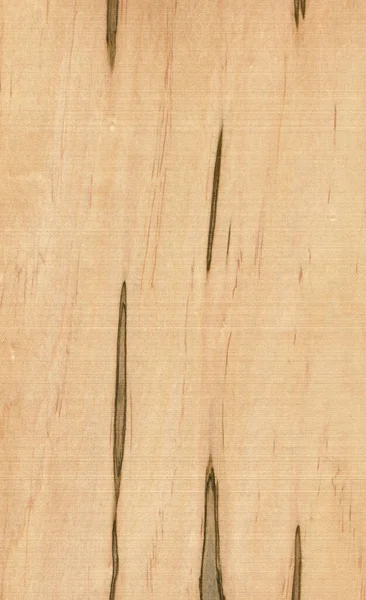 Přírodní Dřevěné Textury Pozadí Javorové Dřevo — Stock fotografie