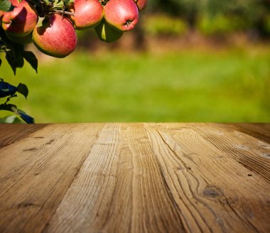 Tablo alanı ve elma ağaçlarının Bahçe 