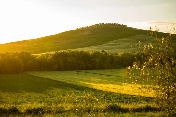 Paisagem Toscana Italia — Fotografia de Stock