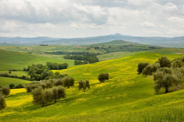 Landschaft Der Toskana Italien — Stockfoto
