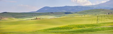 Tuscany rural günbatımı manzara. kırsal çiftlik, selvi ağaçları, yeşil alanı, güneş ışığı ve bulut. Volterra, İtalya, Avrupa.