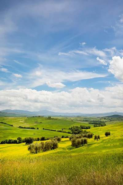 Piękny Widok Miasta Pienza Wzgórzu Tuscany Włochy — Zdjęcie stockowe