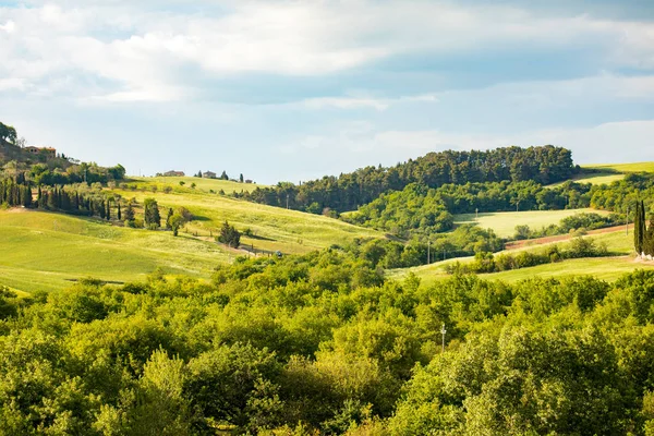 Bela Vista Pienza Uma Colina Toscana Itália — Fotografia de Stock