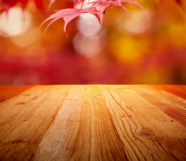 Colorful Autumn Leaves Background — Stock Photo, Image