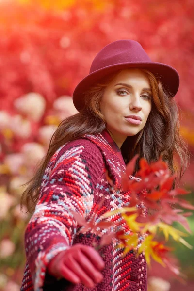 Schöne Elegante Frau Steht Herbst Einem Park — Stockfoto
