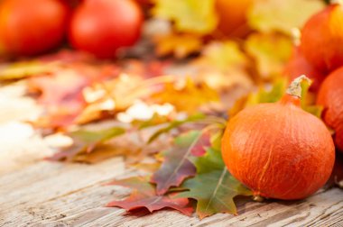 Şükran günü sınır arka plan. Renkli yaprakları ile sonbahar sonbahar arka plan, 