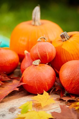 Sonbahar kabaklar soyut fall ile ahşap üzerine bırakır arka plan           