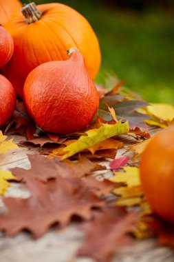 Sonbahar kabaklar soyut fall ile ahşap üzerine bırakır arka plan           