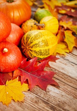 Sonbahar kabaklar soyut fall ile ahşap üzerine bırakır arka plan           