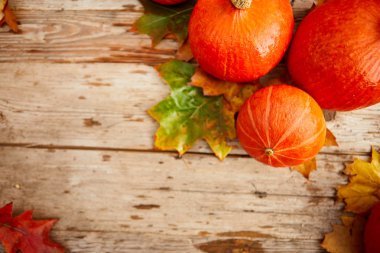 topdown sonbahar arka plan kopya alanı ile kabak genel gider manzaralı