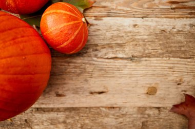 Demet Squash kopya alanı tablo ile boş alanı çevresinde doğal bir sınır olarak