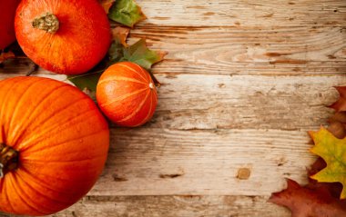 topdown sonbahar arka plan kopya alanı ile kabak genel gider manzaralı