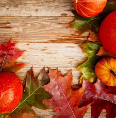 Demet Squash kopya alanı tablo ile boş alanı çevresinde doğal bir sınır olarak