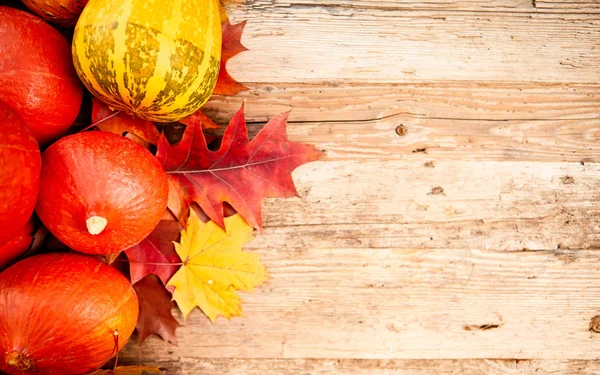 Topdown Autumn Background Pumpkins Overhead View Copy Space — Stock Photo, Image