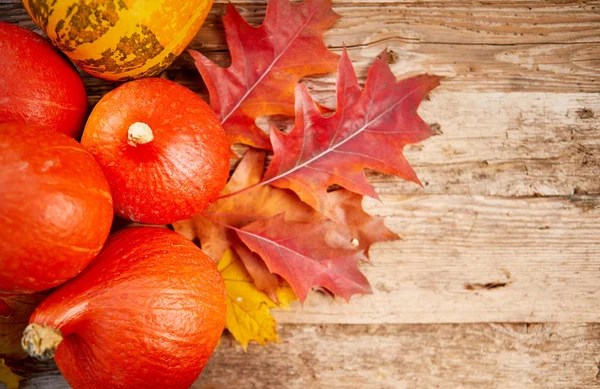 Close Pumpkins Autumn Leaves Background Selective Focus Shallow Dof — Stock Photo, Image