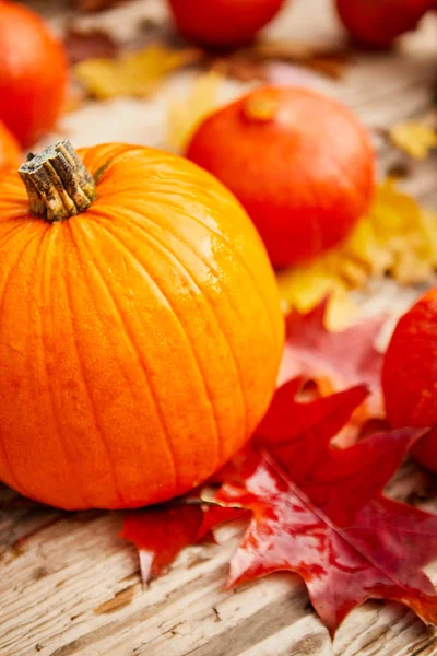 Calabazas Otoño Sobre Madera Con Hojas Abstractas Otoño Fondo — Foto de Stock