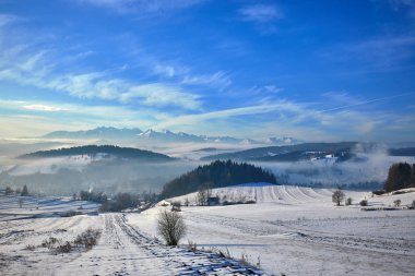 Harika akşam manzara renkli güneş ışığı altında. Dramatik kış sahne. 