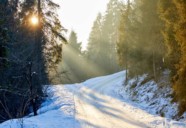 Fantastisk Kväll Landskap Färgglad Solljus Dramatiska Vintrig Scen — Stockfoto