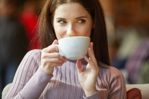 Güzel esmer kafede dizüstü bilgisayar kullanarak. Blogger iş kavramı