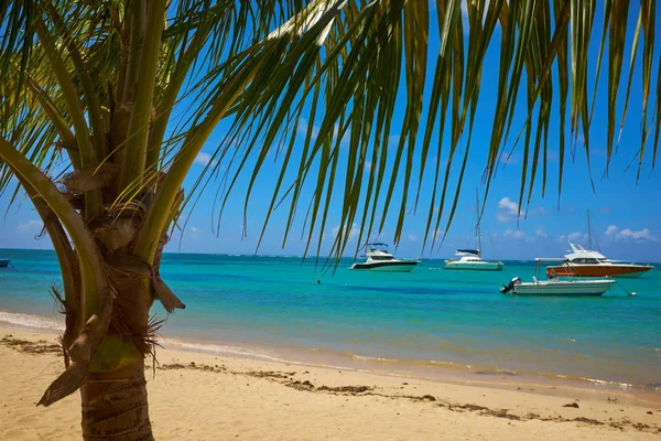 Tropik Sahil Ile Asmak Palmiye Ağaçları Tatil Plaj — Stok fotoğraf