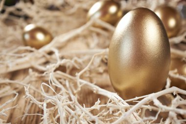 Nest vintage rustik ahşap zemin üzerine altın yumurta 