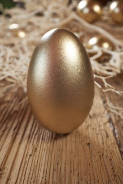 Nest vintage rustik ahşap zemin üzerine altın yumurta 