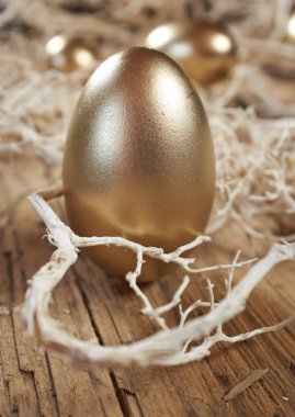 Nest vintage rustik ahşap zemin üzerine altın yumurta 