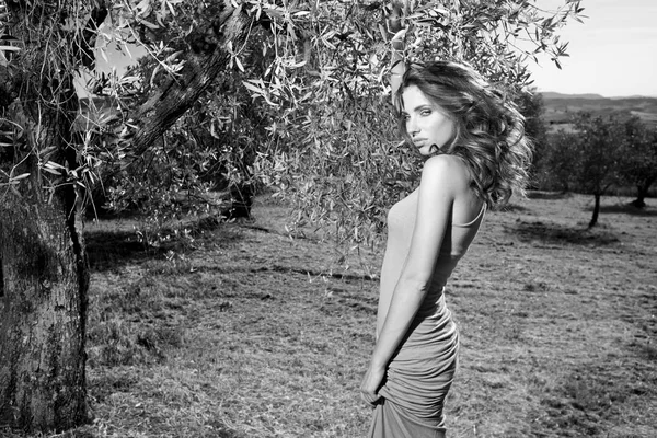 Güzel Moda Model Kadın Zeytin Bahçesinde Toskana Talya — Stok fotoğraf