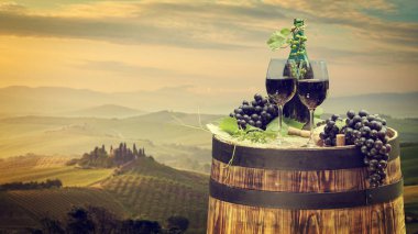 Tuscany, İtalya 'da üzüm bağında kırmızı şarap 