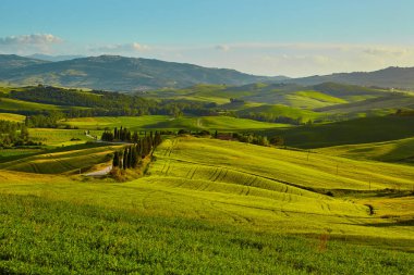 Tuscany tepeler. İtalya. Mayıs.