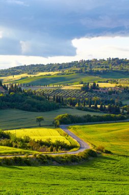 Tuscany tepeler. İtalya. Mayıs.