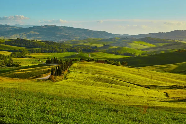 Les Collines Toscanes Italie Mai — Photo