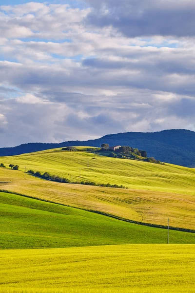 Tuscany Heuvels Italië Mei — Stockfoto