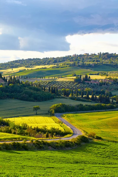 Les Collines Toscanes Italie Mai — Photo