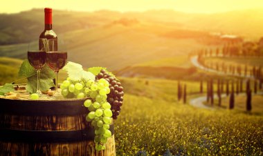 Tuscany, İtalya 'da üzüm bağında kırmızı şarap