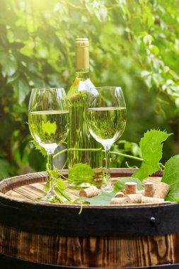 Bahçe beyaz şarap ve şişeler