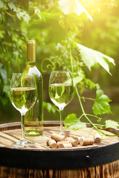 Trädgård Med Vitt Vin Och Flaskor — Stockfoto