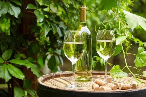 Garden White Wine Bottles — Stock Photo, Image