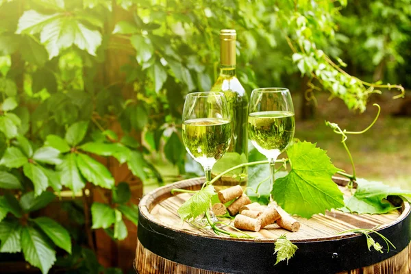 Garten Mit Weißwein Und Flaschen — Stockfoto