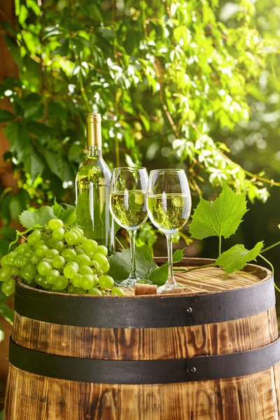 Grape White Wine Wooden Barrel Garden Terrace — Stock Photo, Image