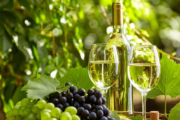 Grape White Wine Wooden Barrel Garden Terrace — Stock Photo, Image