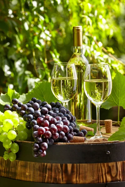 葡萄和白葡萄在木桶上花园露台上 — 图库照片