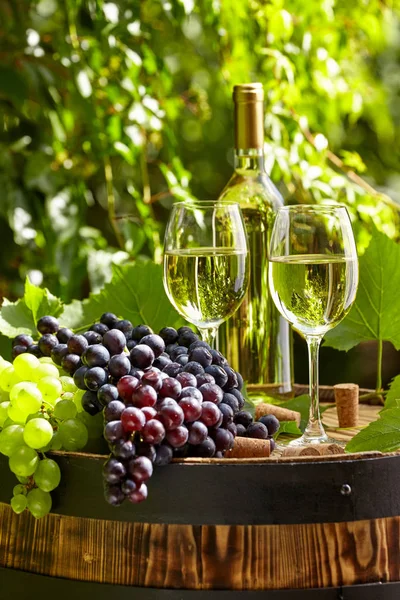 Grape White Wine Wooden Barrel Garden Terrace — Stock Photo, Image