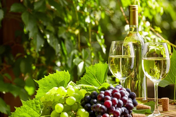 Trauben Und Weißwein Holzfass Auf Der Gartenterrasse — Stockfoto