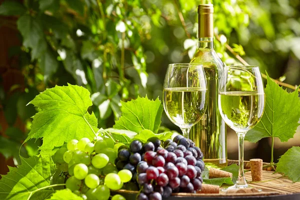 Raisin Vin Blanc Sur Tonneau Bois Sur Terrasse Jardin — Photo