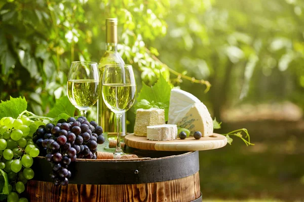 Uva Vinho Branco Barril Madeira Terraço Jardim — Fotografia de Stock